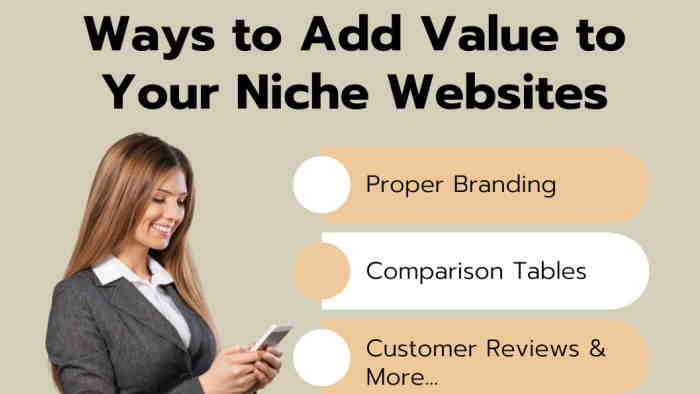 How to Add Value to Your Niche Websites