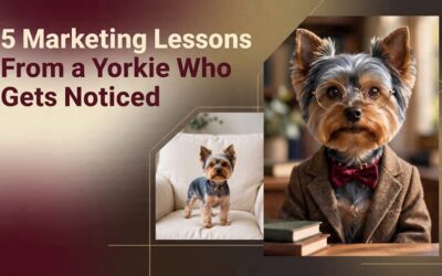 5 Marketing Lessons From a Yorkie for Content Creators